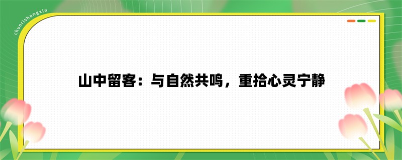 山中留客：与自然共鸣，重拾心灵宁静