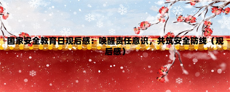 国家安全教育日观后感：唤醒责任意识，共筑安全防线（观后感）