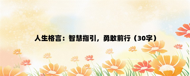 人生格言：智慧指引，勇敢前行（30字）