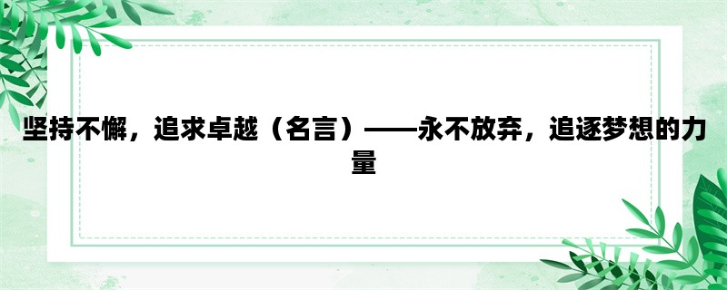 坚持不懈，追求卓越（名