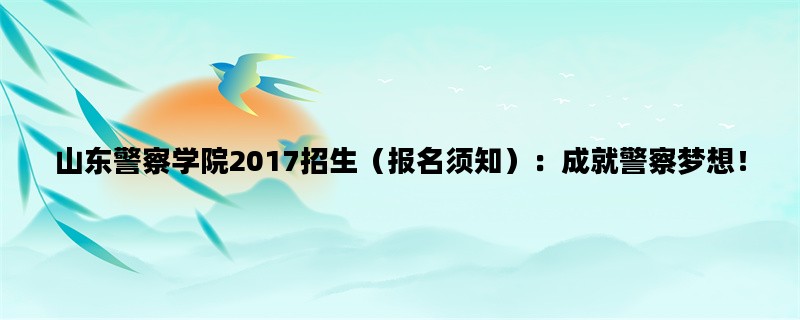 山东警察学院2017招生（