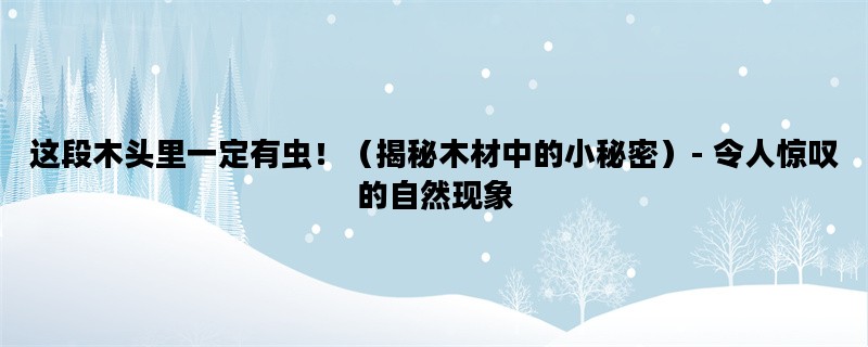 这段木头里一定有虫！（揭秘木材中的小秘密）- 令人惊叹的自然现象