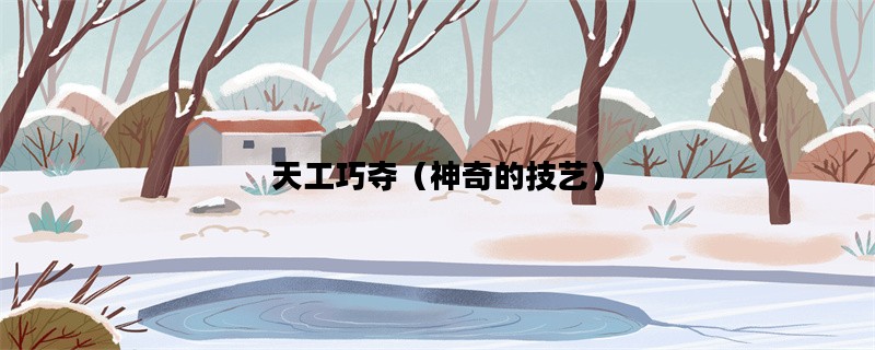 天工巧夺（神奇的技艺）