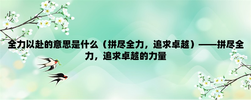 全力以赴的意思是什么（拼尽全力，追求卓越）——拼尽全力，追求卓越的力量